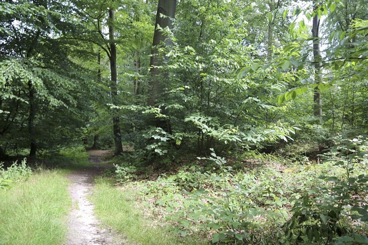 Circuit du Maréchal de Croy