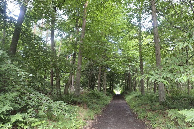 Circuit de la fontaine bouillante