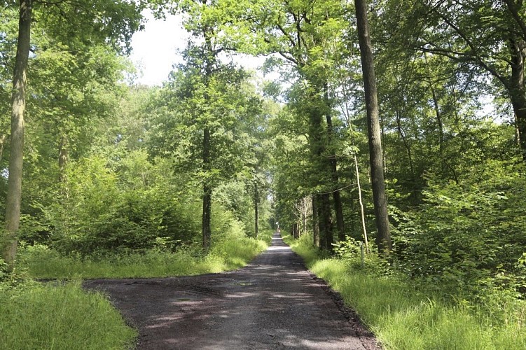 Circuit de la fontaine bouillante