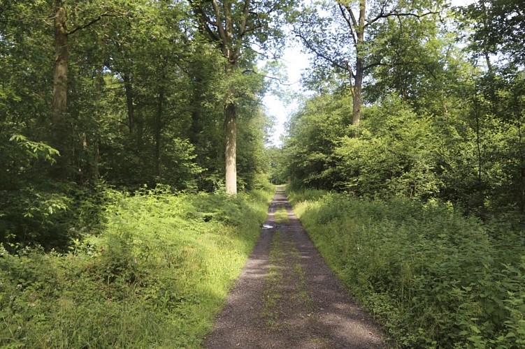 Circuit de la fontaine bouillante