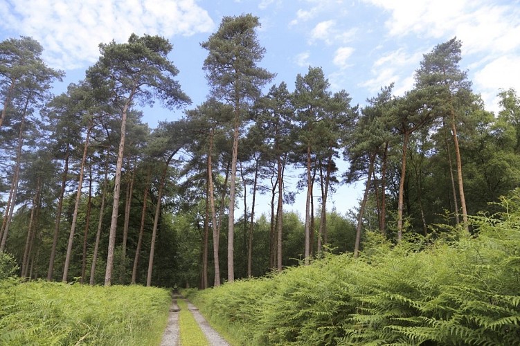 Circuit de la fontaine bouillante