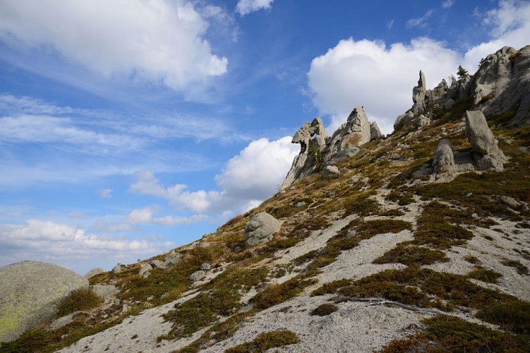 La Poule qui couve depuis quelques millénaires