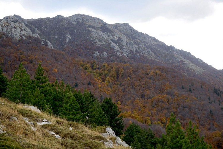 Couleurs d'automne pendant la descente à vue depuis la poule