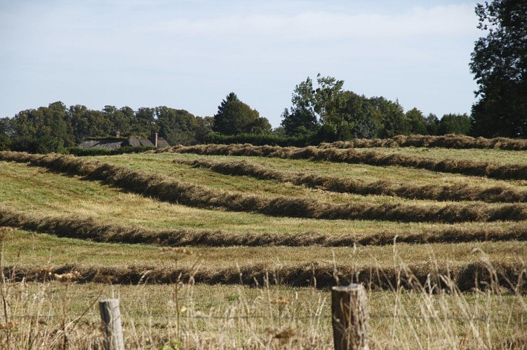 De toeristische route van Longecorbie rond Pont-Audemer, Normandië 27500
