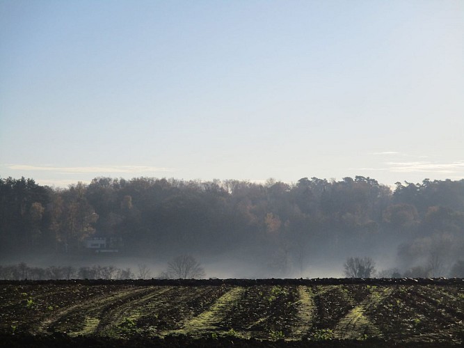 Villers-la-Ville: De part et d'autre de la route de Chevelipont.