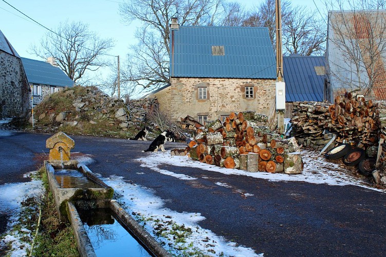 Le bois des Trouveyres