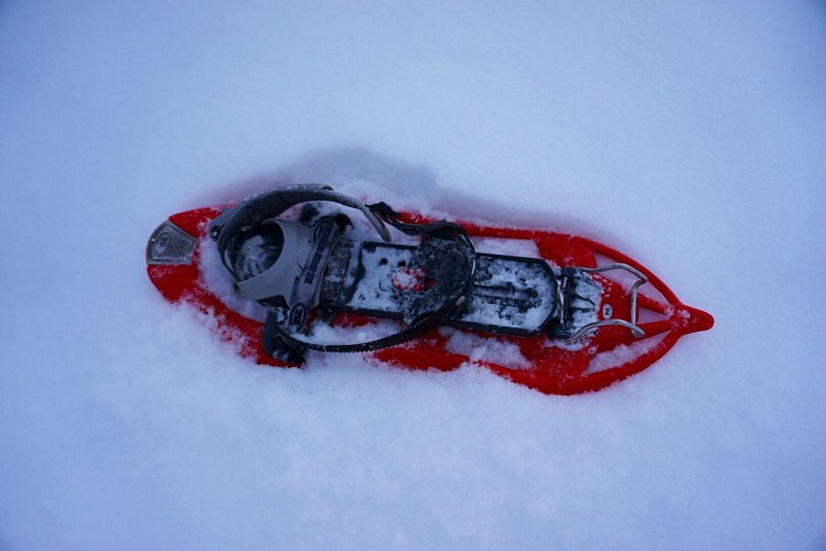 Raquette dans la neige