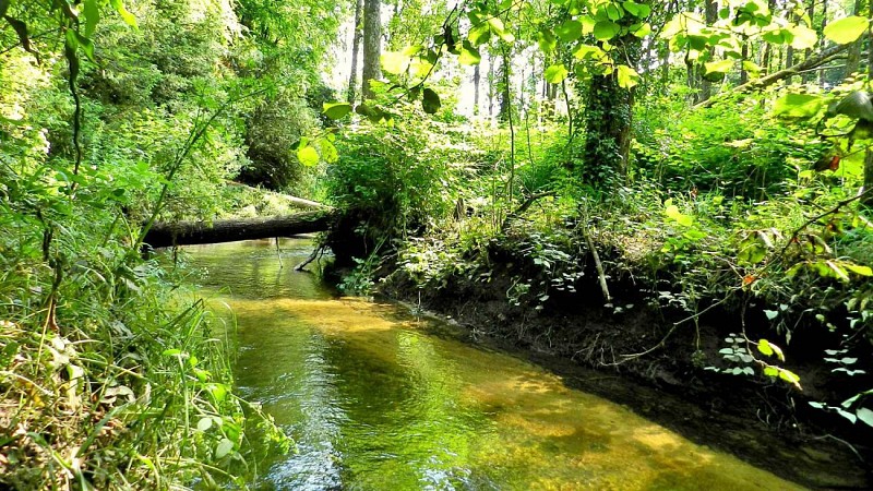 Randonnée à Plestin les gréves - La vallée du Douron par Pont Menou