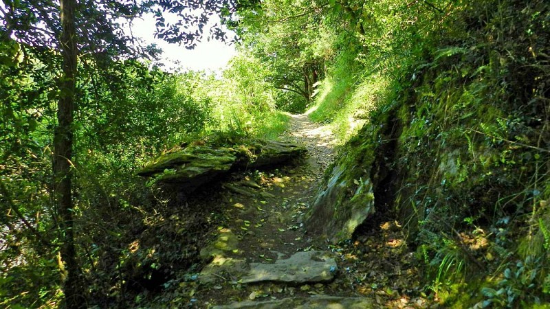 Randonnée à Plestin les gréves - La vallée du Douron par Pont Menou