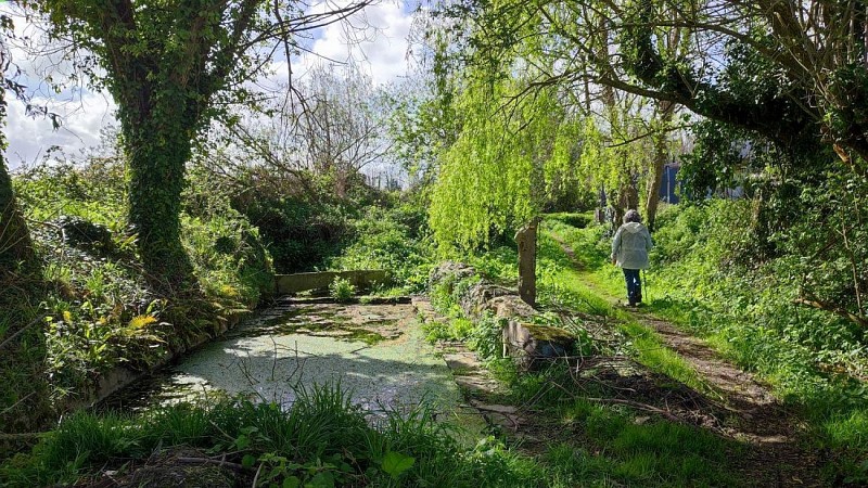 Lavoir - boucle du Douron | Locquirec