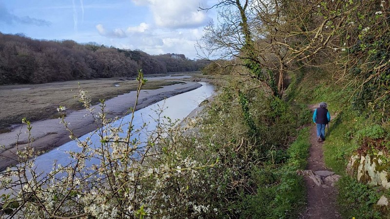 Le long du Douron | Plestin Les Grèves