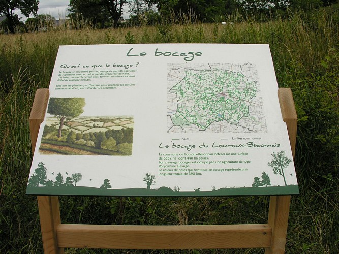 SENTIER D'INTERPRÉTATION DES CHAPONNEAUX