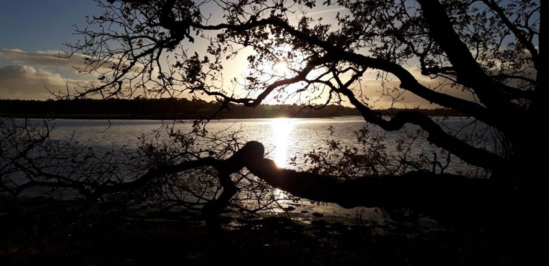 Séné-Port Anna-Séné