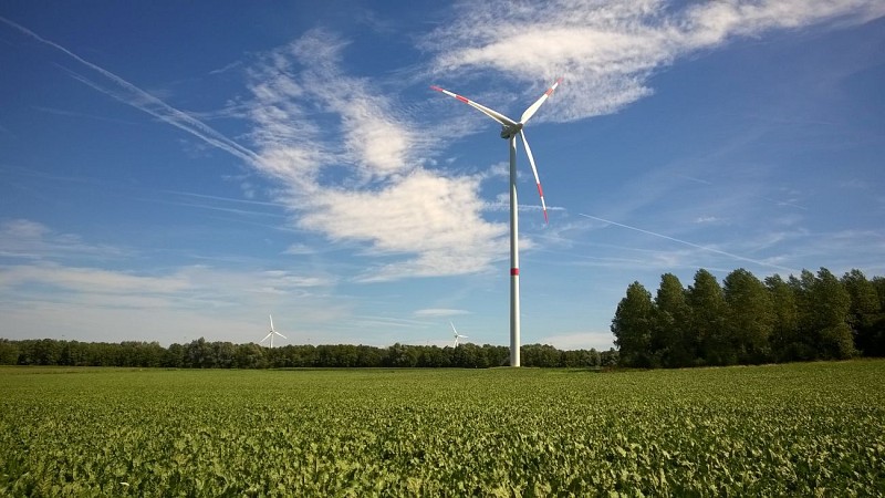 En balade en Hesbaye : Amour de la patrie
