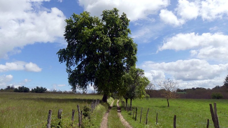 Du château au moulin