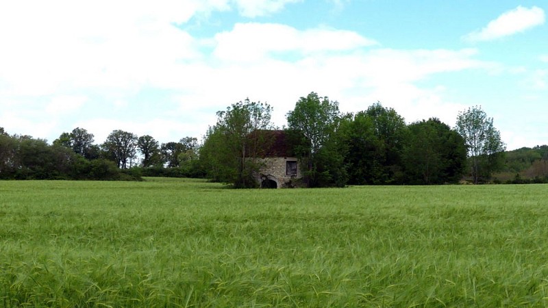Du château au moulin