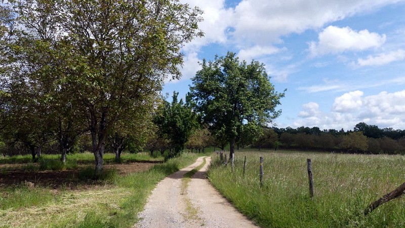 Du château au moulin
