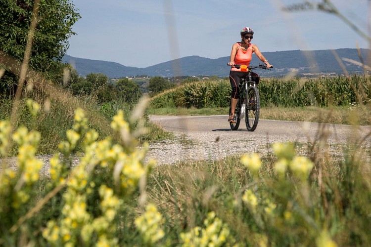 Circuit vélo
