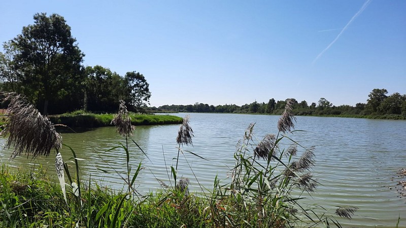 Circuit vélo Cyclodombes