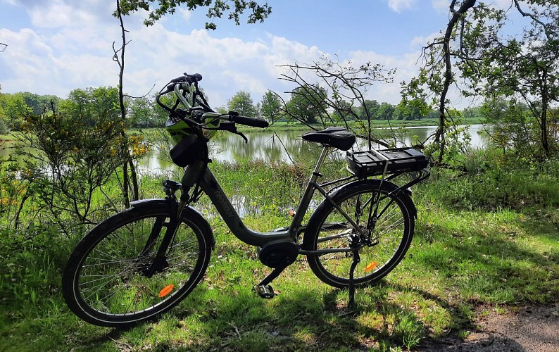 Balade à vélo en Dombes