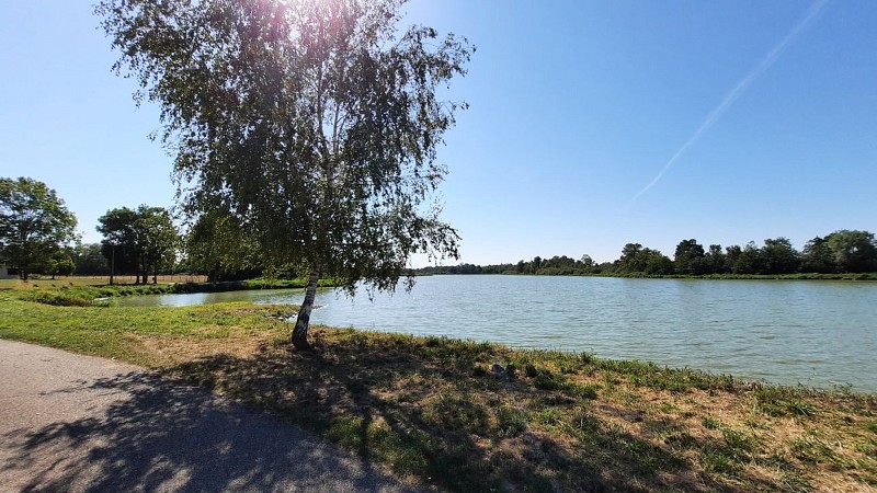 Etang la Gélinière