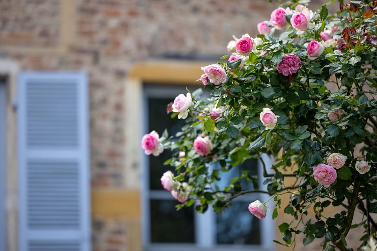 Châtillon-sur-Chalaronne