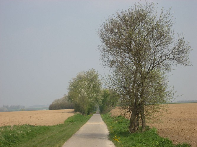 En balade en Hesbaye : Marlborough
