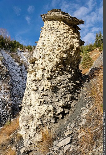 Demoiselle coiffee Villarenger