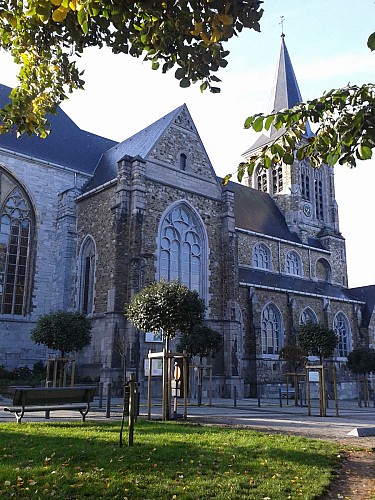 2014-10-03 Collégiale (3)