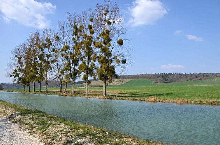 Canal de Bourgogne vallonné et dominé par le château de Châteauneuf 