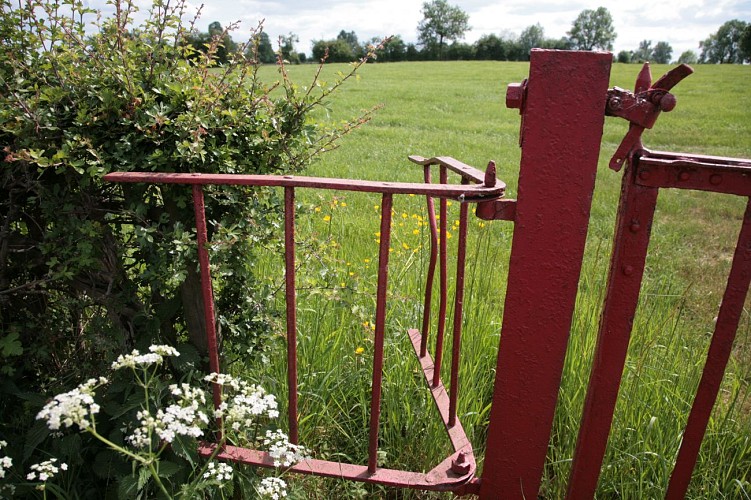 Échalier V 2011 alain boos