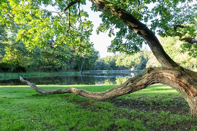 Balade au bourg de paille