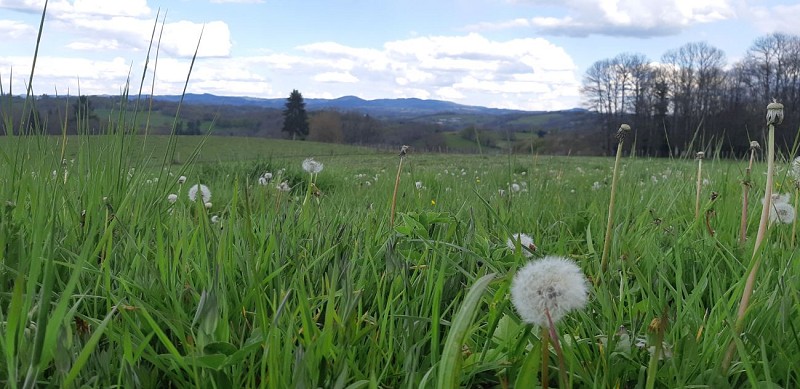 Point de vue Puy Poyau -