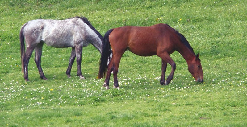 Autour du mont Vernou-la Celle