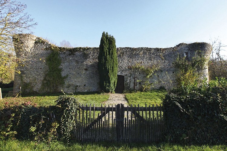 A travers le maquis de Roys