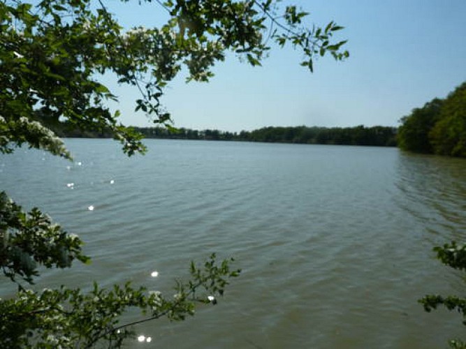 MARAY - Chemin de l’Étang