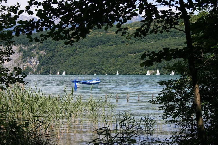 Sentier de découvertes "Les Roselières"
