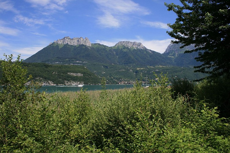 Sentier de découvertes "Les Roselières"