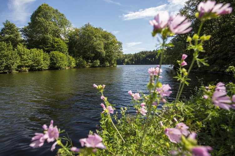 Circuit pédestre "Etangs et prairies" - Vosges du sud