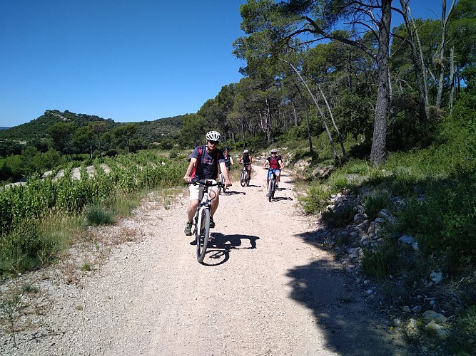 Tour guidé à vélo électrique et Dégustation en Pic Saint Loup