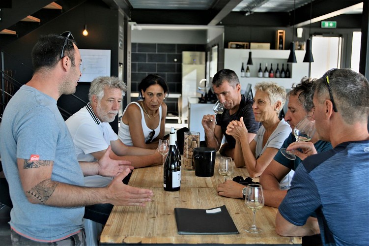 Tour guidé à vélo électrique et Dégustation en Pic Saint Loup