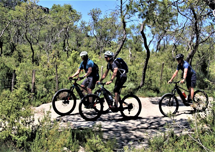 Tour guidé à vélo électrique et Dégustation en Pic Saint Loup