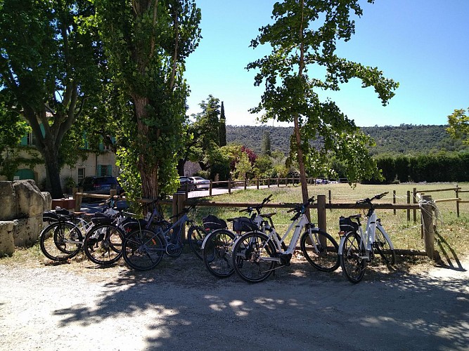 Tour guidé à vélo électrique et Dégustation en Pic Saint Loup