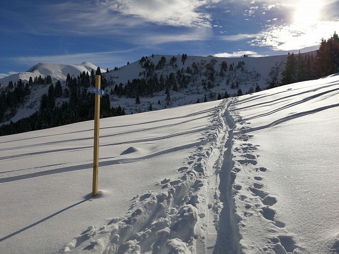 Itinéraire de ski de randonnée - Le Bettex / Sous les Freddys