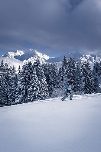 Itinéraire de ski de randonnée alpin - Le Bettex / Sous les Freddys