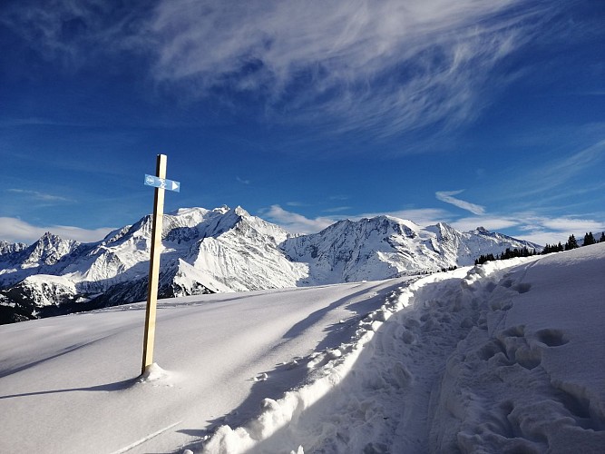 Itinéraire de ski de randonnée alpin - Le Bettex / Sous les Freddys