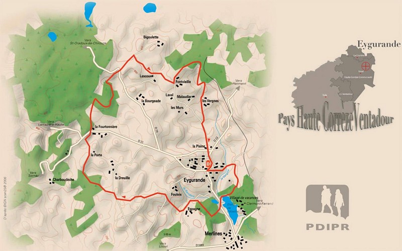 Le champ des oiseaux