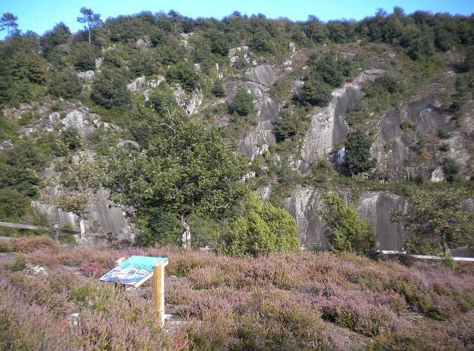 The Labans Trail