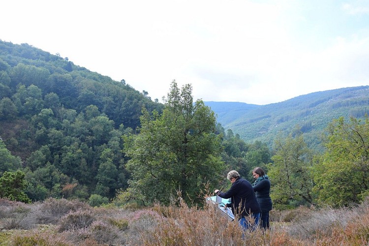Sendero de los Labans