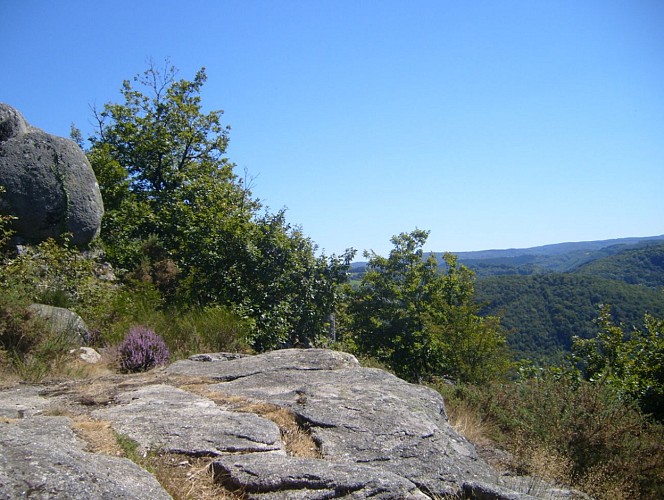 Upland loop (Boucle des plos)